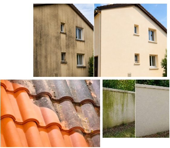 Nettoyage et démoussage toitures façades murs Charente-Maritime